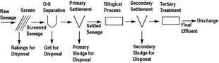 Sewage treatment process